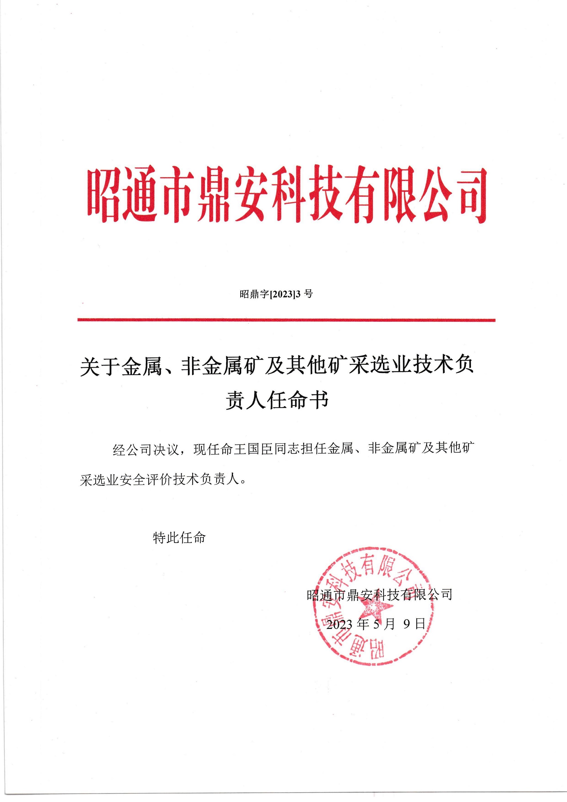 關于金屬、非金屬礦及其他礦采選業(yè)技術負責人任命書-王國臣_2.jpg